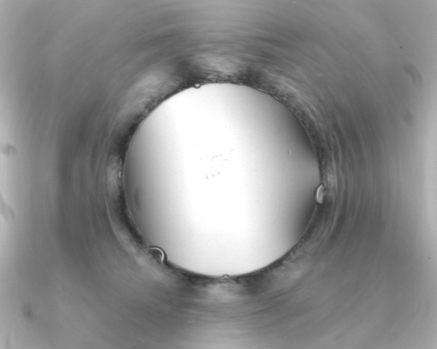 X0000090720468200708101557