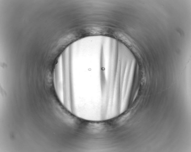 X0000090720469200708101557