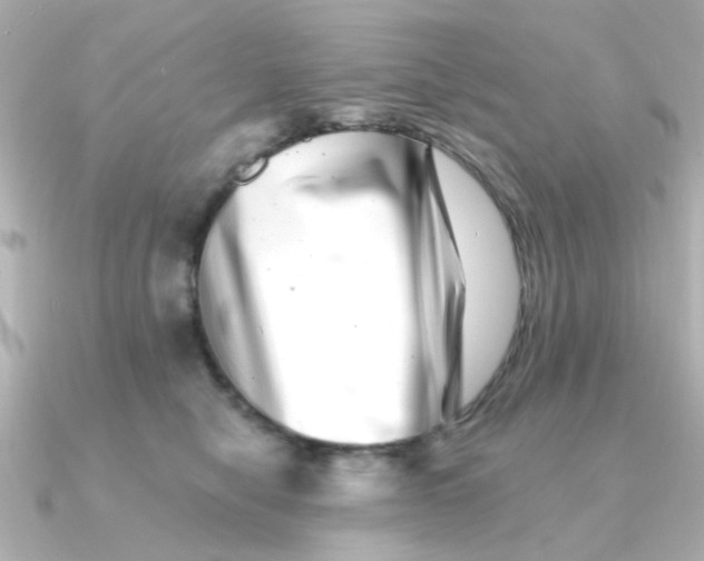 X0000090720470200708101557