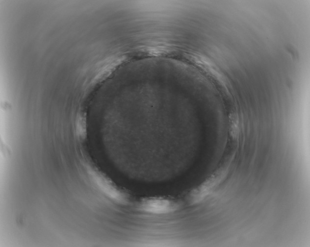 X0000090720471200708101557