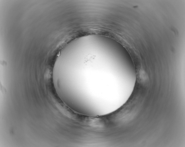 X0000090720472200708101557