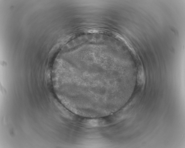 X0000090720473200708101557