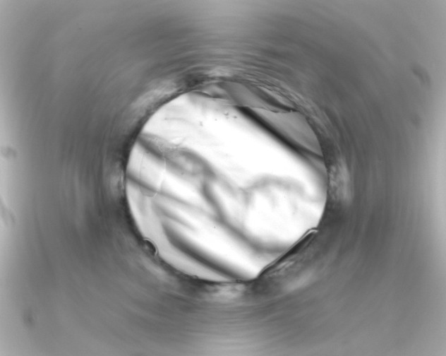 X0000090720474200708101557