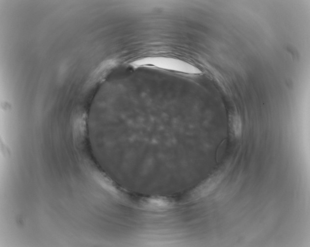 X0000090720475200708101557