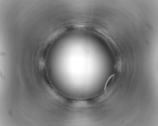 X0000090720476200708101557