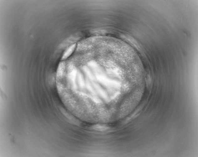 X0000090720477200708101557