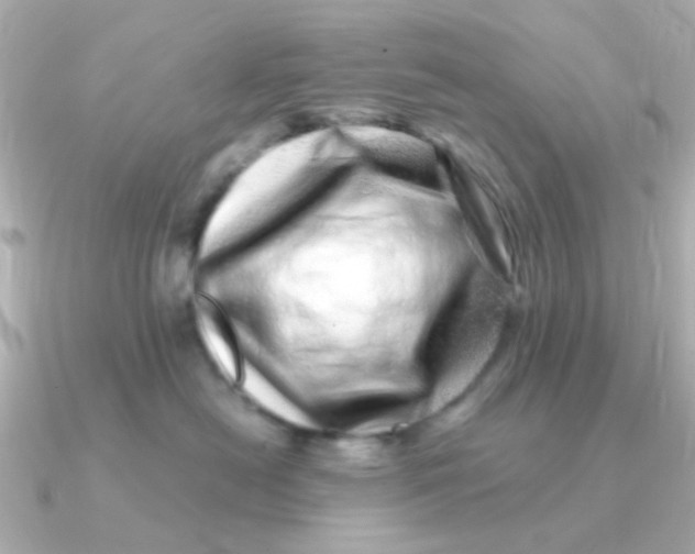 X0000090720478200708101557