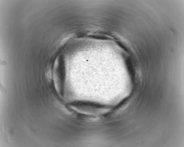 X0000090720479200708101557