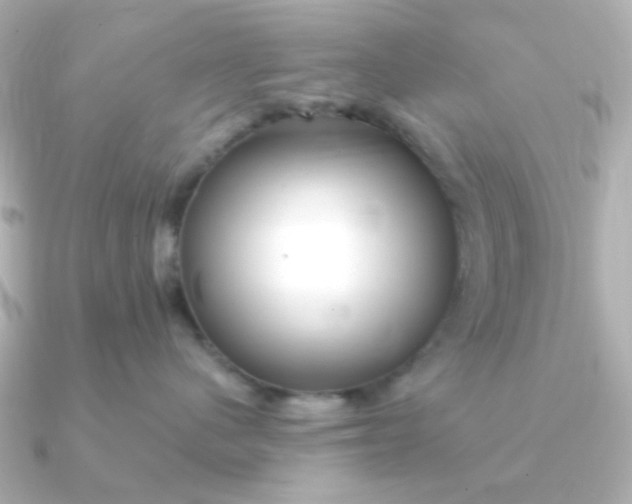 X0000090720480200708101557