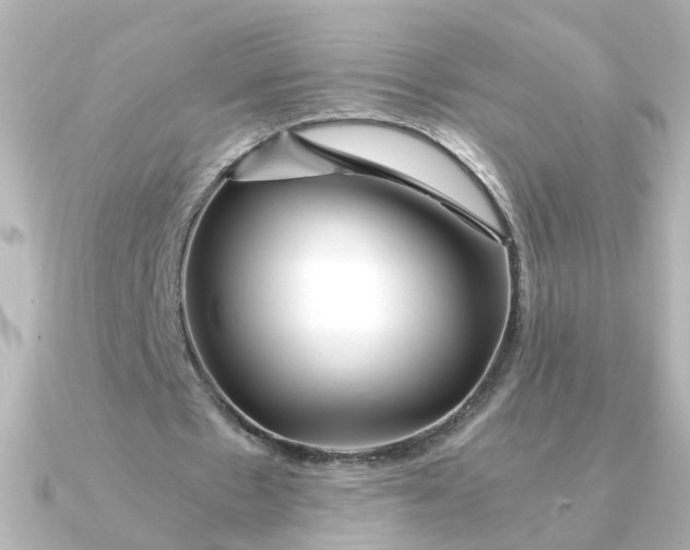 X0000090720481200708101556