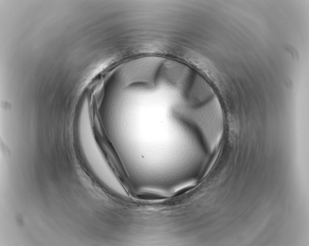 X0000090720482200708101556