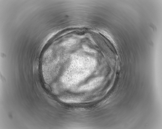 X0000090720483200708101556