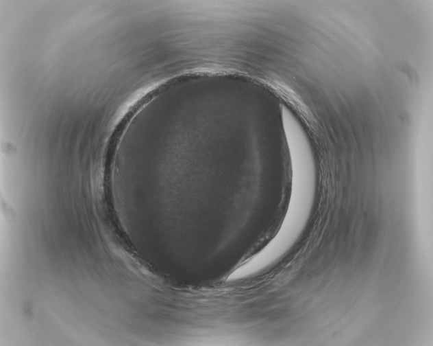 X0000090720484200708101556