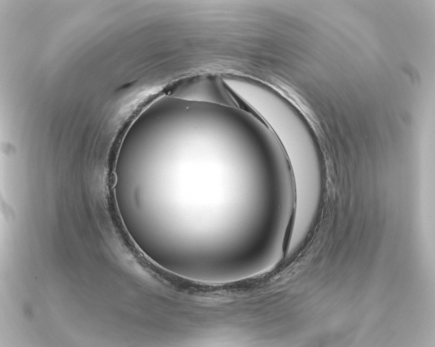 X0000090720485200708101556