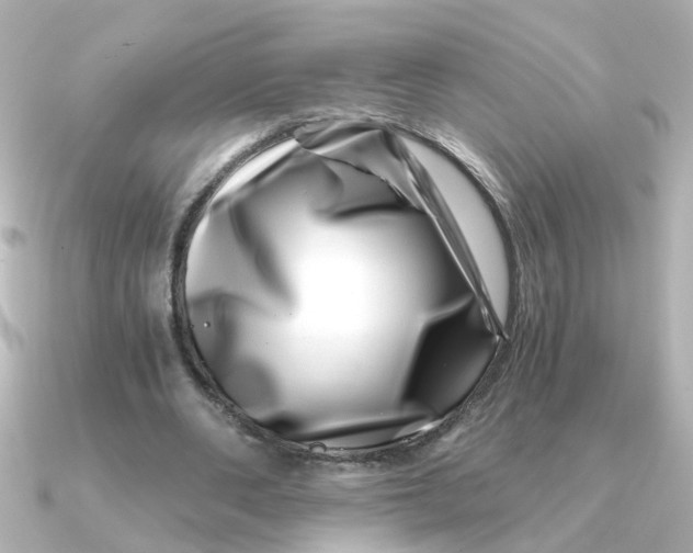 X0000090720486200708101556