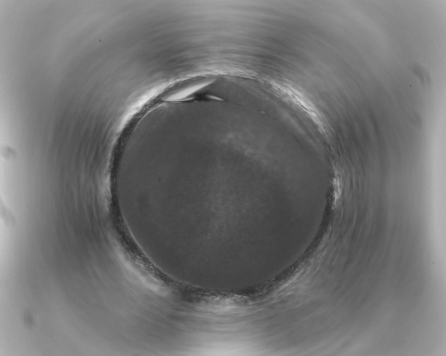 X0000090720488200708101556