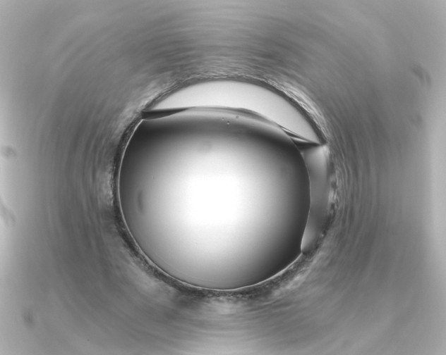 X0000090720489200708101556