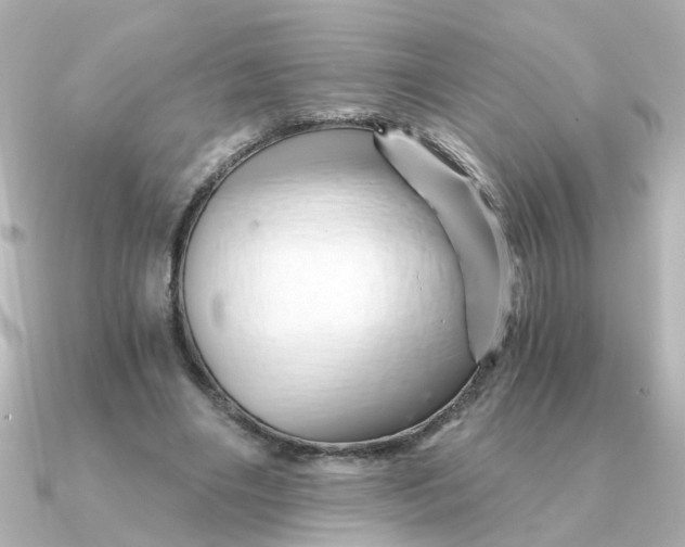 X0000090720490200708101556