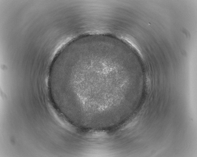 X0000090720491200708101556