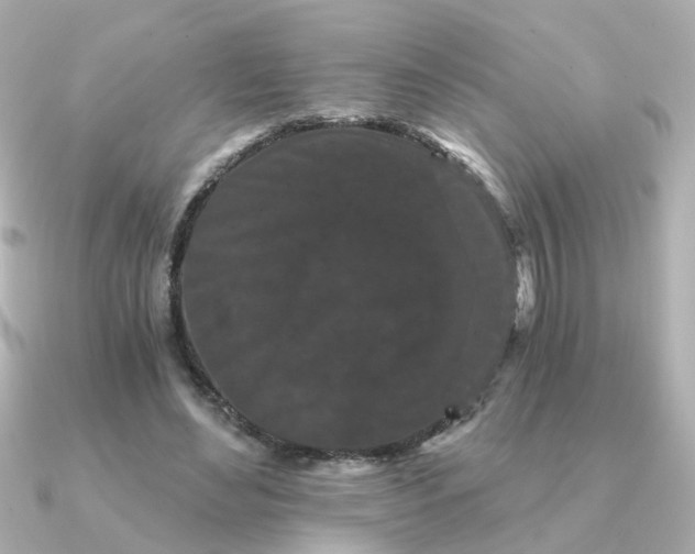 X0000090720492200708101556