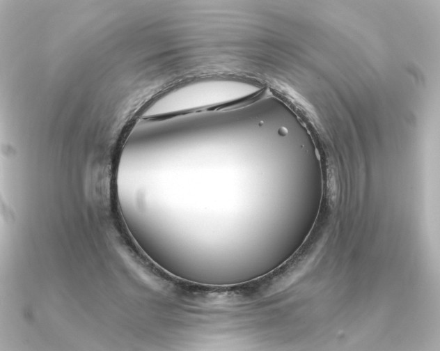 X0000090720493200708101556