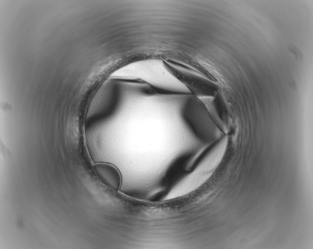 X0000090720494200708101556