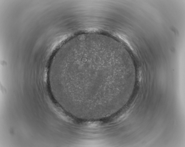 X0000090720495200708101556