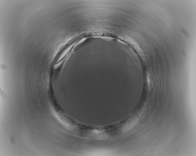 X0000090720496200708101556