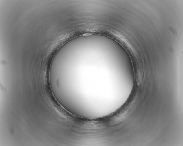 X0000090720497200708101556