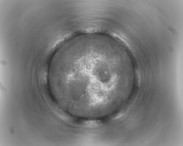 X0000090720499200708101556