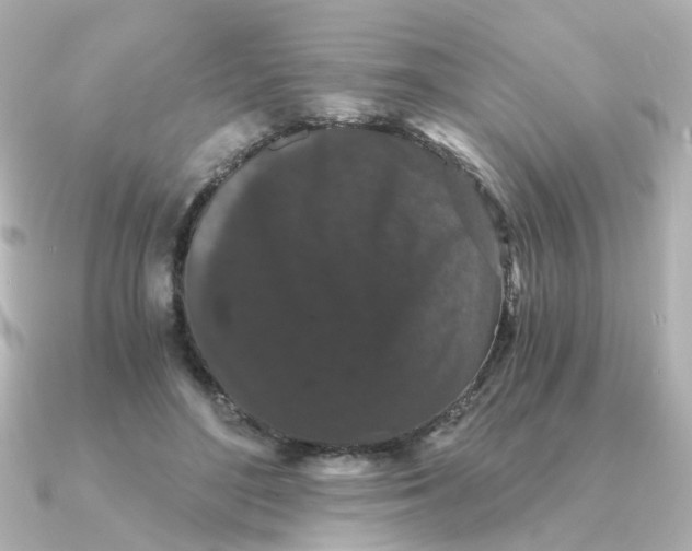 X0000090720500200708101556