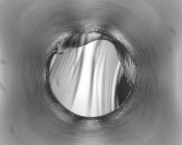 X0000090720501200708101556