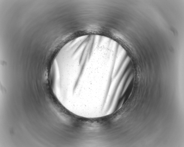 X0000090720502200708101556