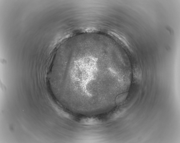 X0000090720503200708101556