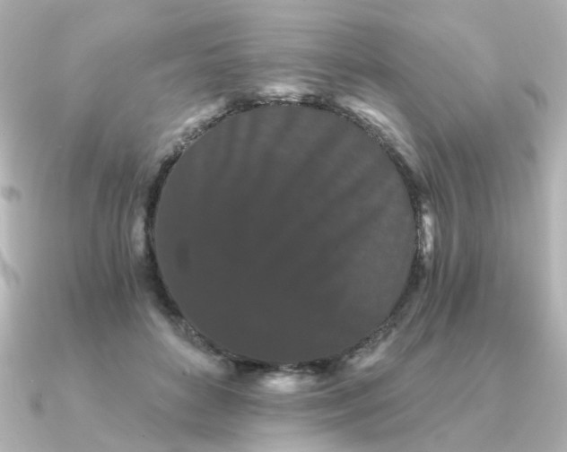 X0000090720504200708101556