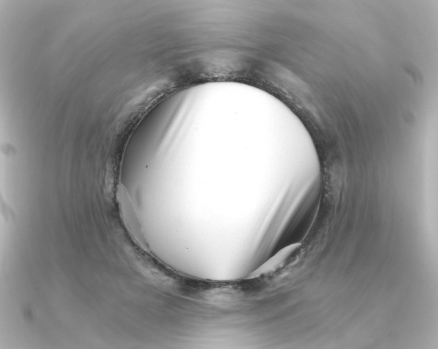 X0000090720505200708101556