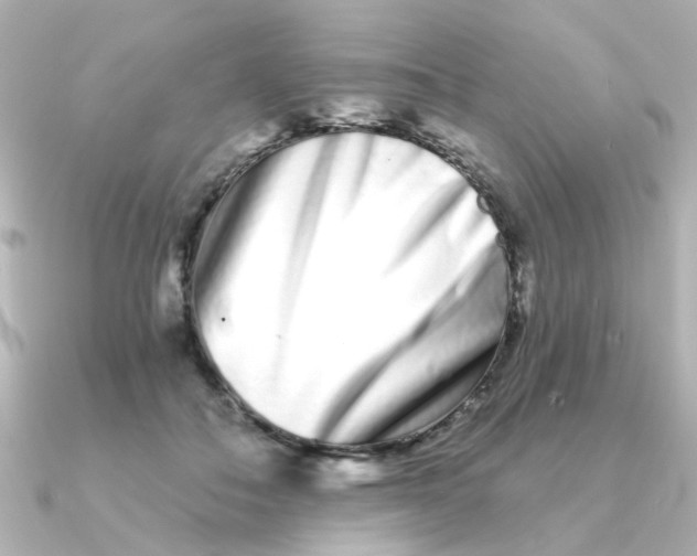 X0000090720506200708101556