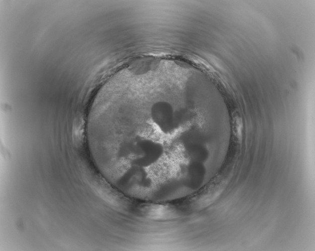 X0000090720507200708101556