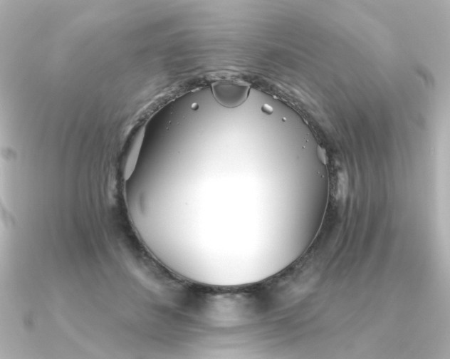 X0000090720508200708101556