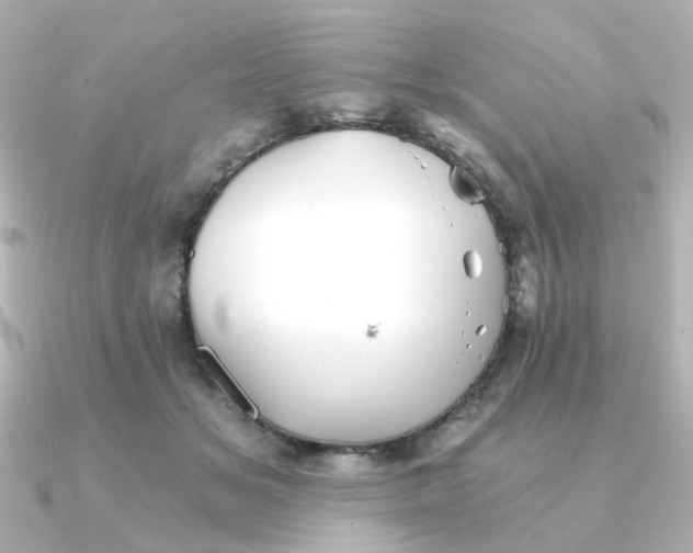 X0000090720509200708101556