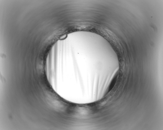 X0000090720510200708101556