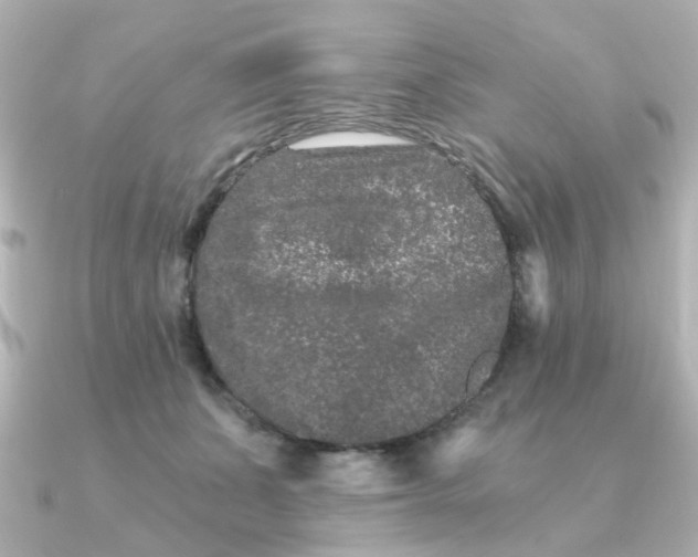 X0000090720511200708101556