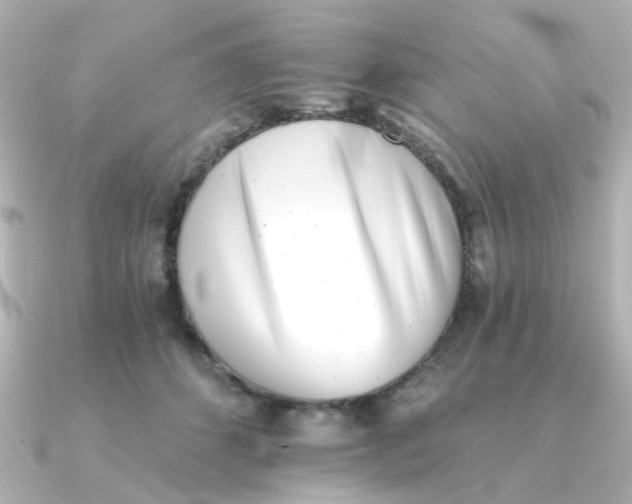 X0000090720512200708101556