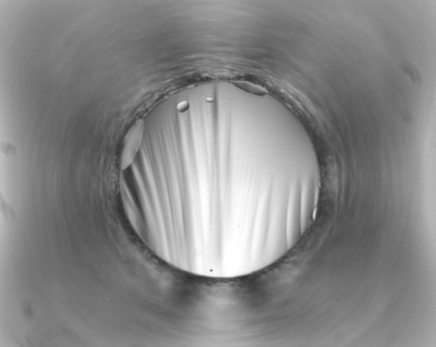 X0000090720513200708101556