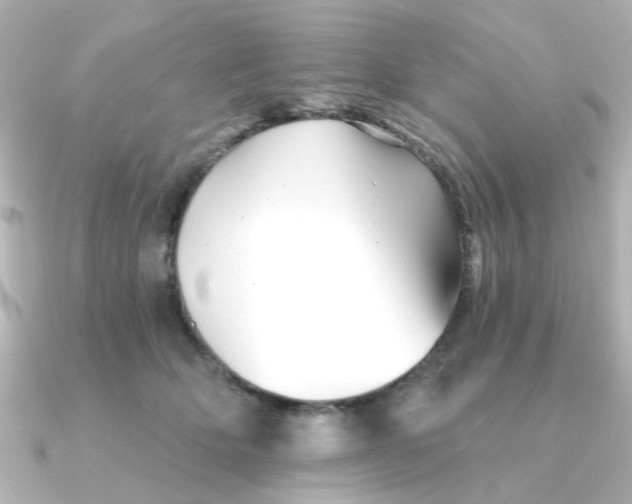 X0000090720514200708101556