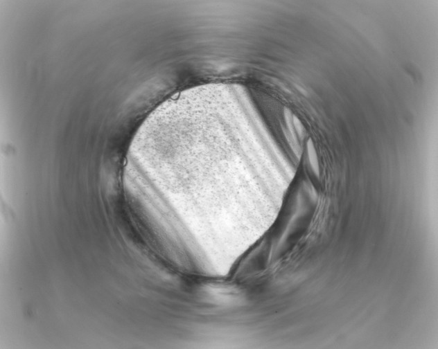 X0000090720515200708101556