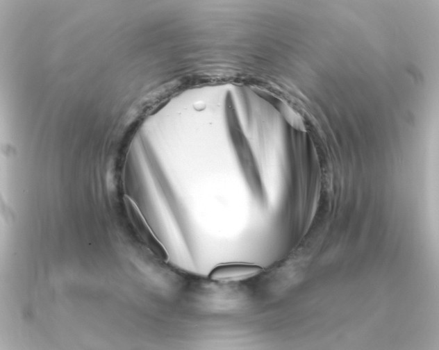 X0000090720516200708101556