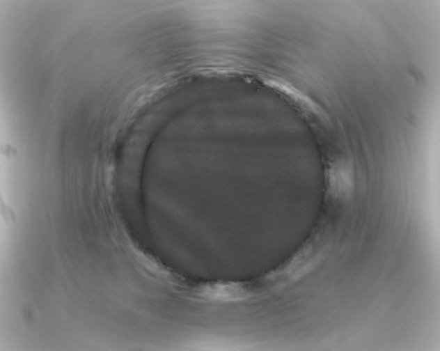 X0000090720517200708101556