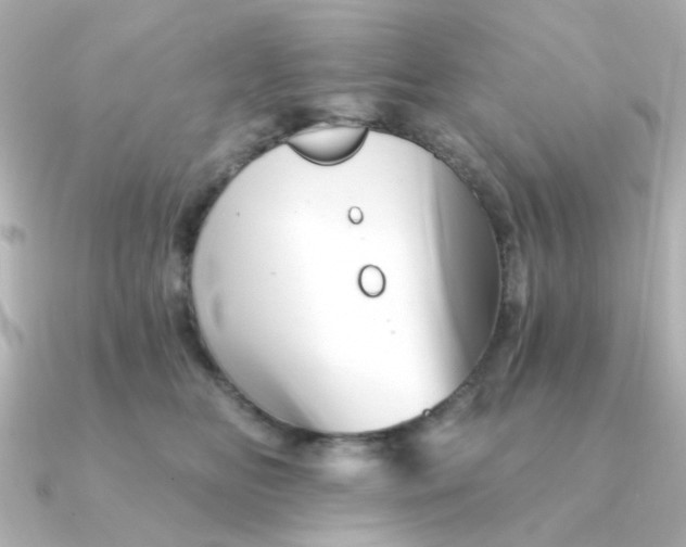 X0000090720518200708101556