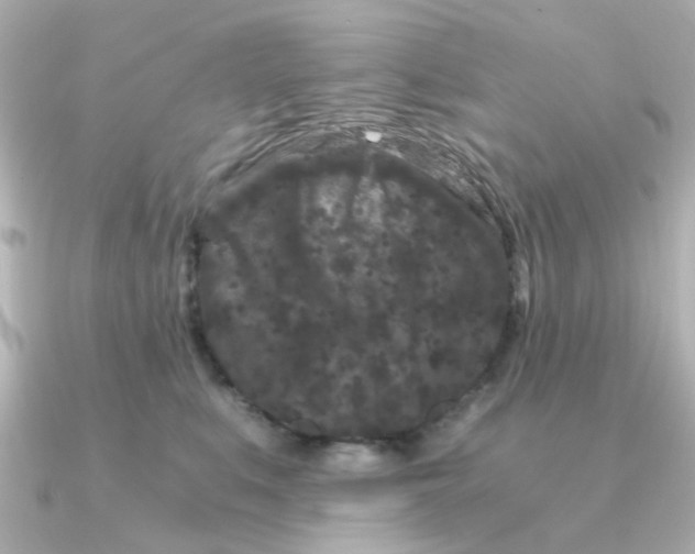 X0000090720519200708101556